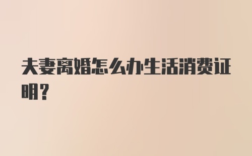 夫妻离婚怎么办生活消费证明？