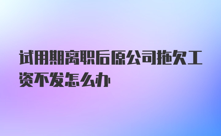 试用期离职后原公司拖欠工资不发怎么办