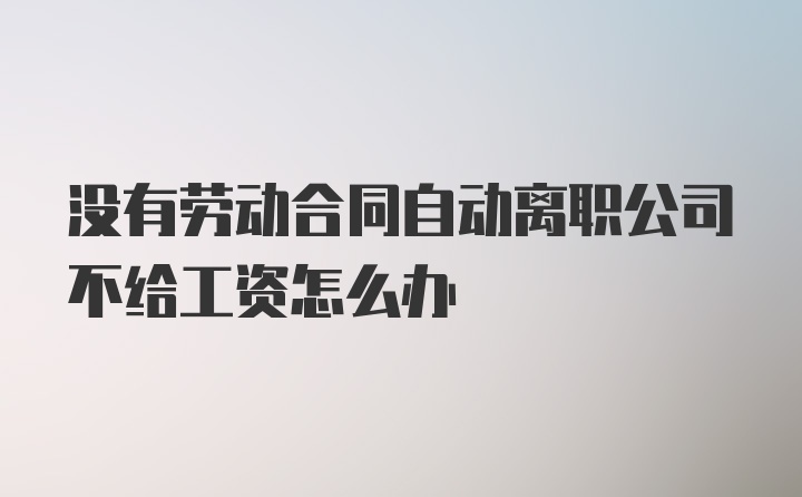 没有劳动合同自动离职公司不给工资怎么办