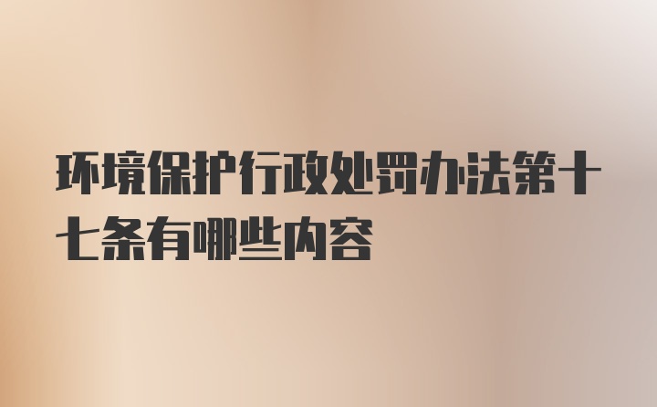 环境保护行政处罚办法第十七条有哪些内容