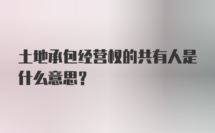 土地承包经营权的共有人是什么意思？