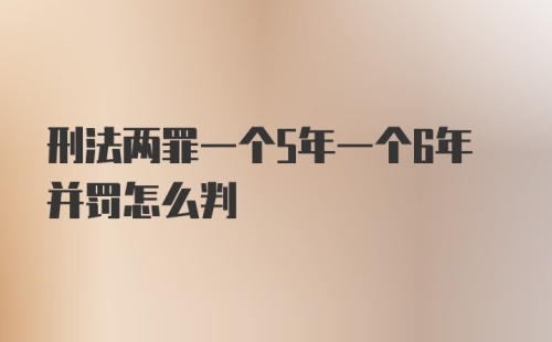 刑法两罪一个5年一个6年并罚怎么判