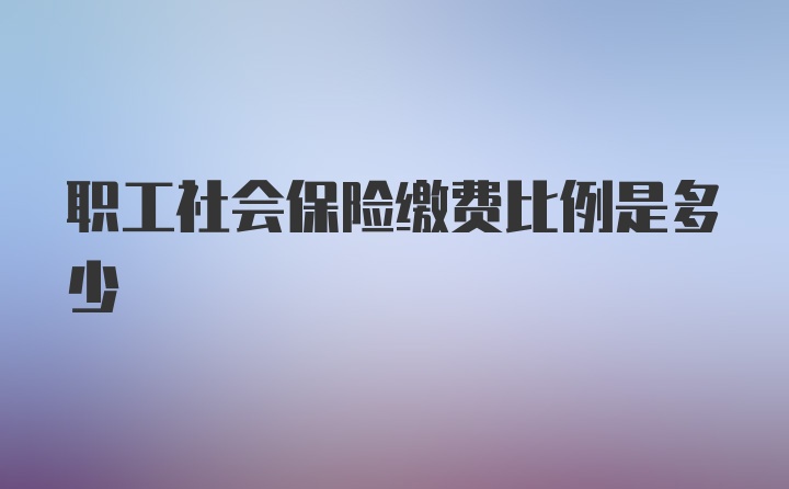 职工社会保险缴费比例是多少