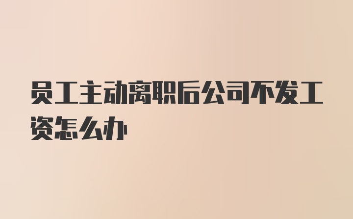 员工主动离职后公司不发工资怎么办