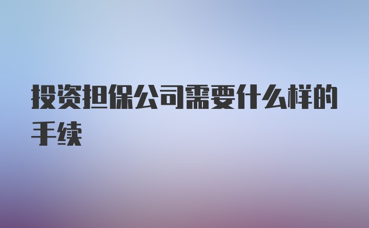 投资担保公司需要什么样的手续