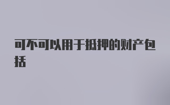 可不可以用于抵押的财产包括