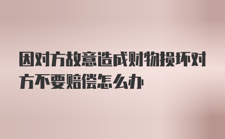 因对方故意造成财物损坏对方不要赔偿怎么办