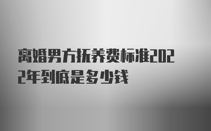 离婚男方抚养费标准2022年到底是多少钱