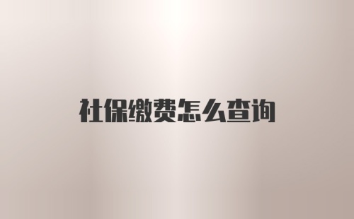 社保缴费怎么查询