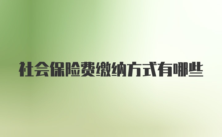 社会保险费缴纳方式有哪些