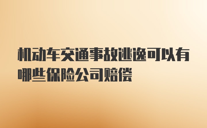 机动车交通事故逃逸可以有哪些保险公司赔偿