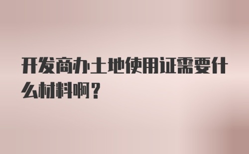 开发商办土地使用证需要什么材料啊？