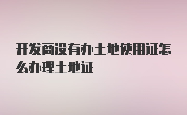 开发商没有办土地使用证怎么办理土地证