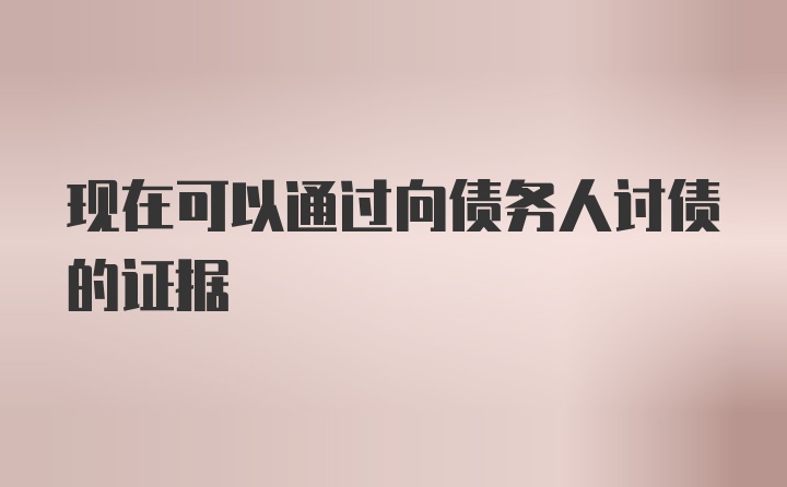 现在可以通过向债务人讨债的证据