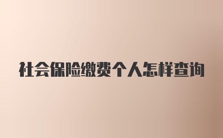 社会保险缴费个人怎样查询