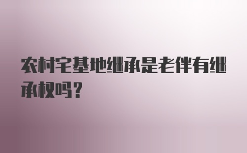 农村宅基地继承是老伴有继承权吗？