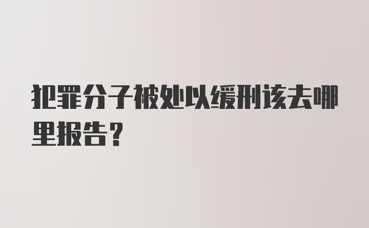 犯罪分子被处以缓刑该去哪里报告?