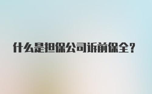 什么是担保公司诉前保全？