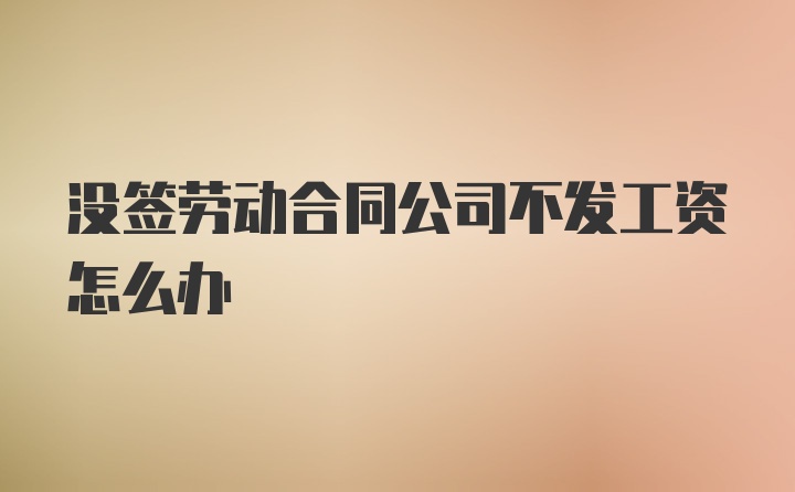 没签劳动合同公司不发工资怎么办