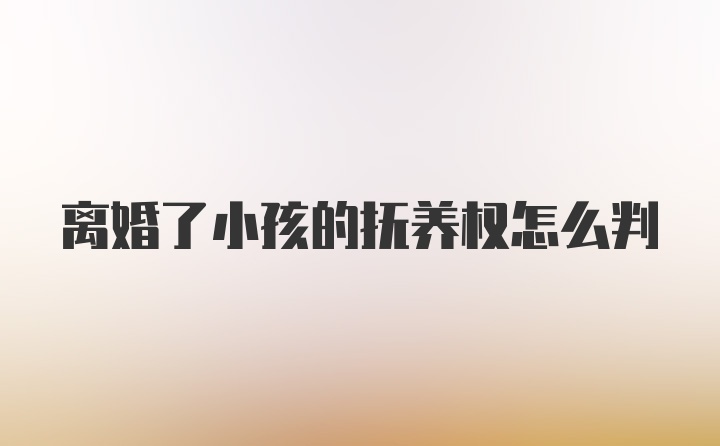 离婚了小孩的抚养权怎么判