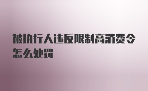 被执行人违反限制高消费令怎么处罚