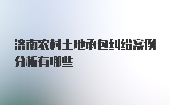 济南农村土地承包纠纷案例分析有哪些