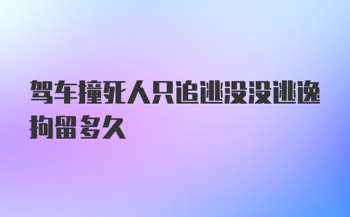 驾车撞死人只追逃没没逃逸拘留多久