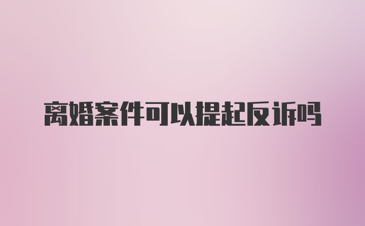 离婚案件可以提起反诉吗