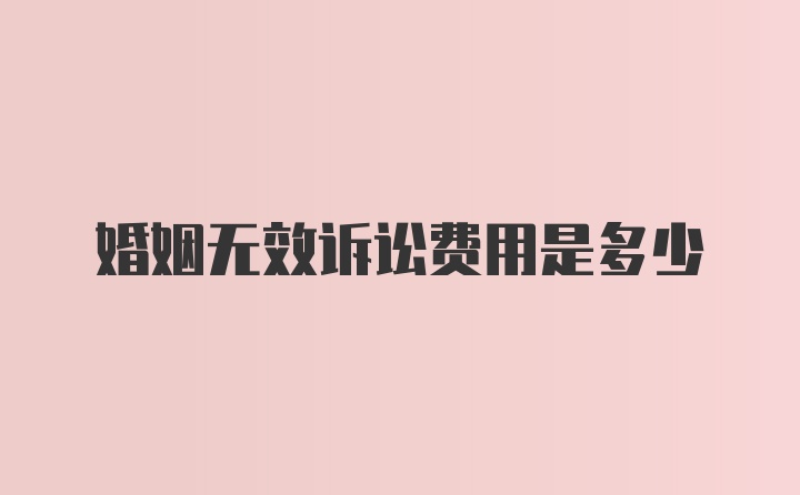 婚姻无效诉讼费用是多少