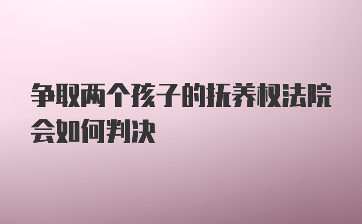 争取两个孩子的抚养权法院会如何判决