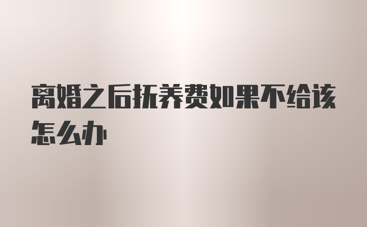 离婚之后抚养费如果不给该怎么办