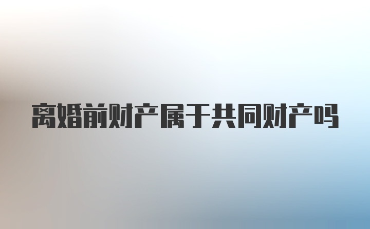 离婚前财产属于共同财产吗