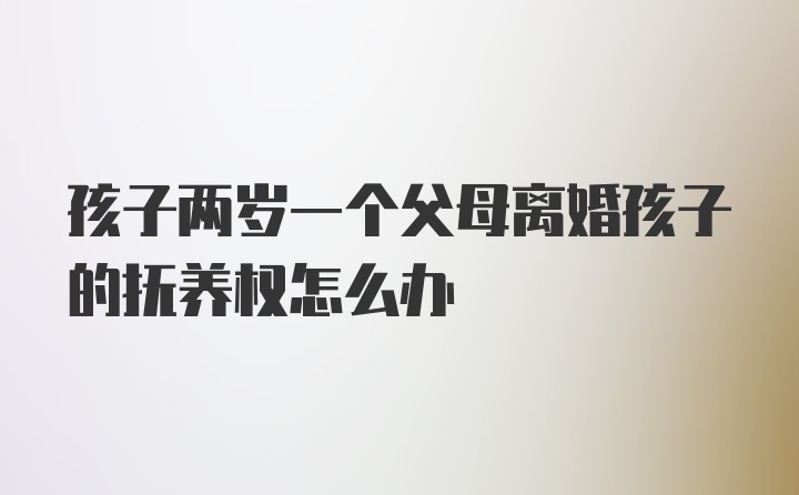 孩子两岁一个父母离婚孩子的抚养权怎么办