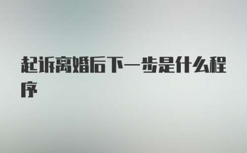 起诉离婚后下一步是什么程序