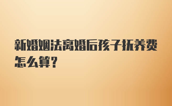 新婚姻法离婚后孩子抚养费怎么算?