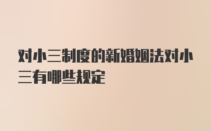 对小三制度的新婚姻法对小三有哪些规定