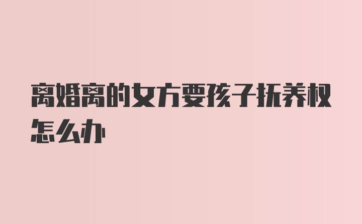 离婚离的女方要孩子抚养权怎么办