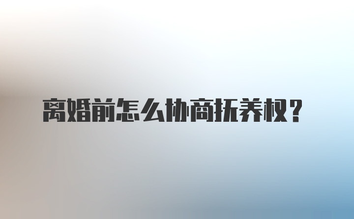 离婚前怎么协商抚养权？