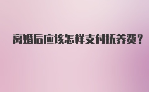 离婚后应该怎样支付抚养费？