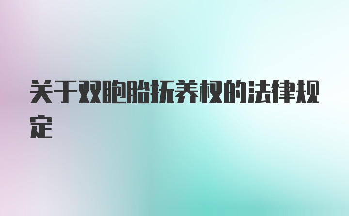 关于双胞胎抚养权的法律规定