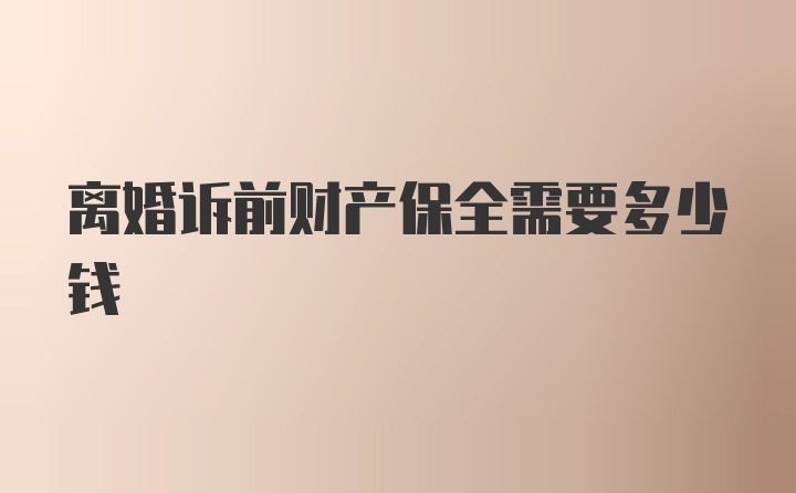 离婚诉前财产保全需要多少钱