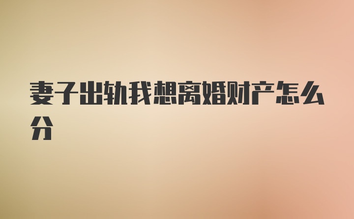 妻子出轨我想离婚财产怎么分