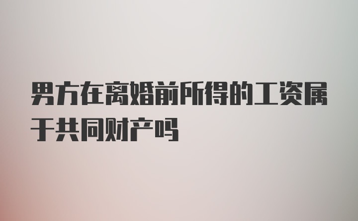 男方在离婚前所得的工资属于共同财产吗