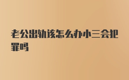 老公出轨该怎么办小三会犯罪吗