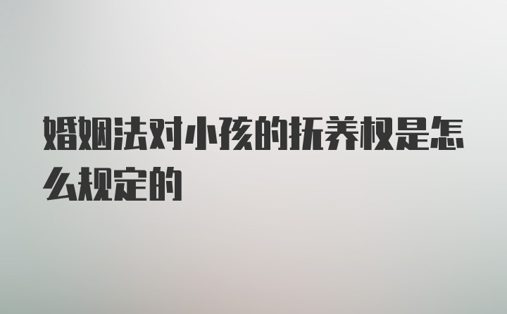 婚姻法对小孩的抚养权是怎么规定的