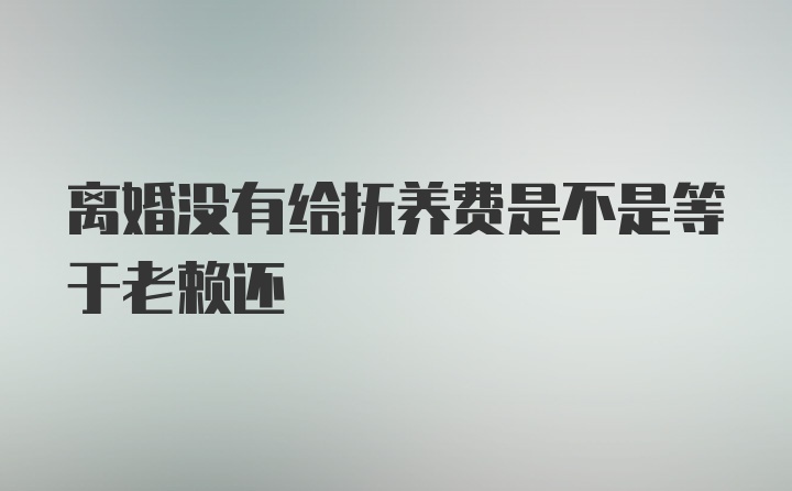 离婚没有给抚养费是不是等于老赖还