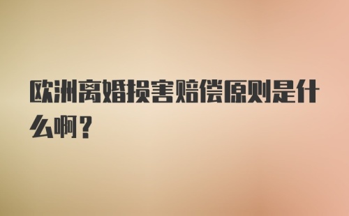 欧洲离婚损害赔偿原则是什么啊？