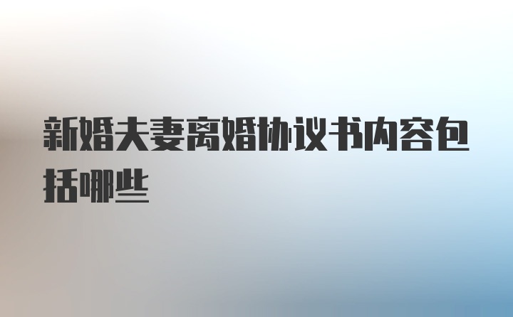 新婚夫妻离婚协议书内容包括哪些