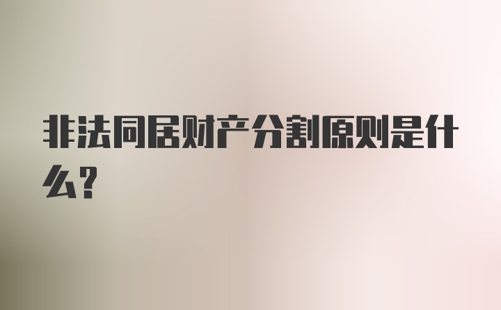 非法同居财产分割原则是什么?