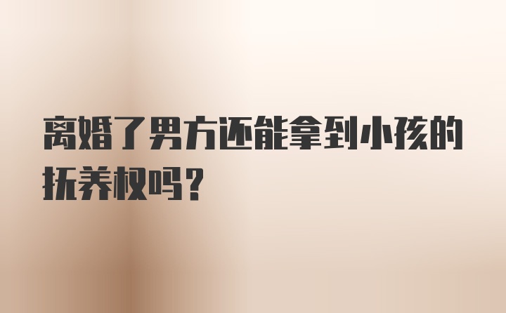 离婚了男方还能拿到小孩的抚养权吗？